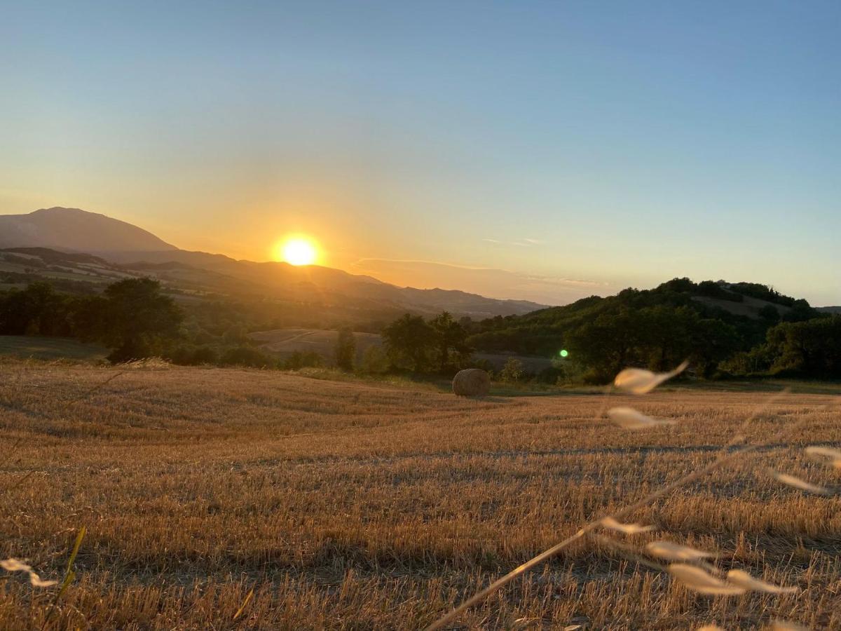 Mulino Del Duca * Urbino