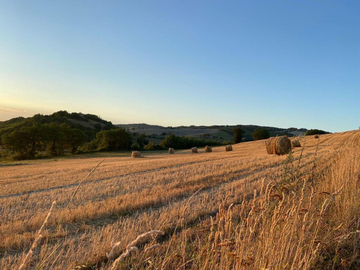 Mulino Del Duca * Urbino
