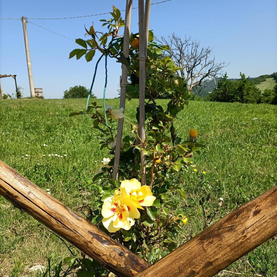 Mulino Del Duca *