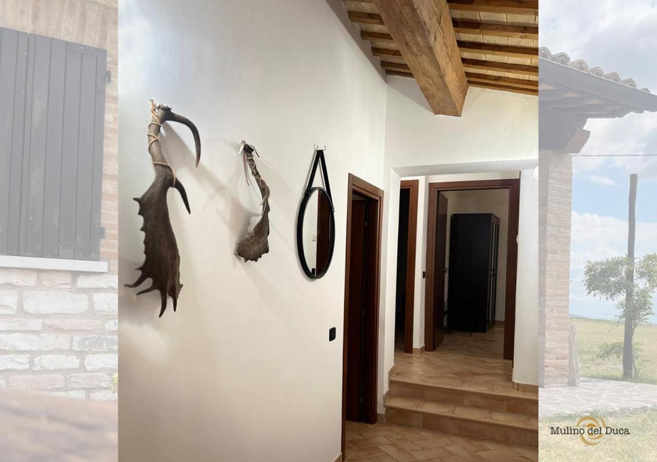 Mulino Del Duca Apartment *